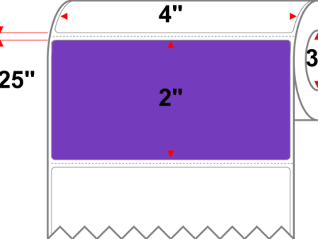 4 X 2 Premium Paper Thermal Transfer Label - Perforated - PMS 266 Violet 266 - 8  Roll - Permanent Supply