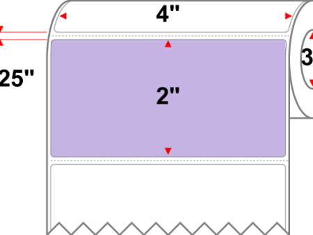 4 X 2 Premium Paper Thermal Transfer Label - Perforated - PMS 2635 Lavender Light Purple 2635 - 8  Roll - Permanent Hot on Sale